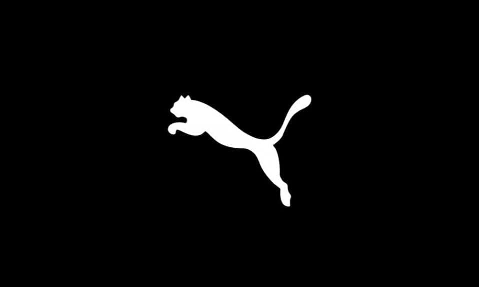 PUMA Teamgoal 23 Casuals Hoody Jr