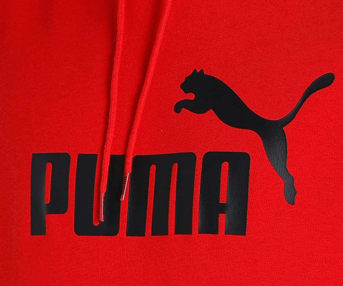 PUMA ESS Big Logo Hoodie TR Sudadera Hombre