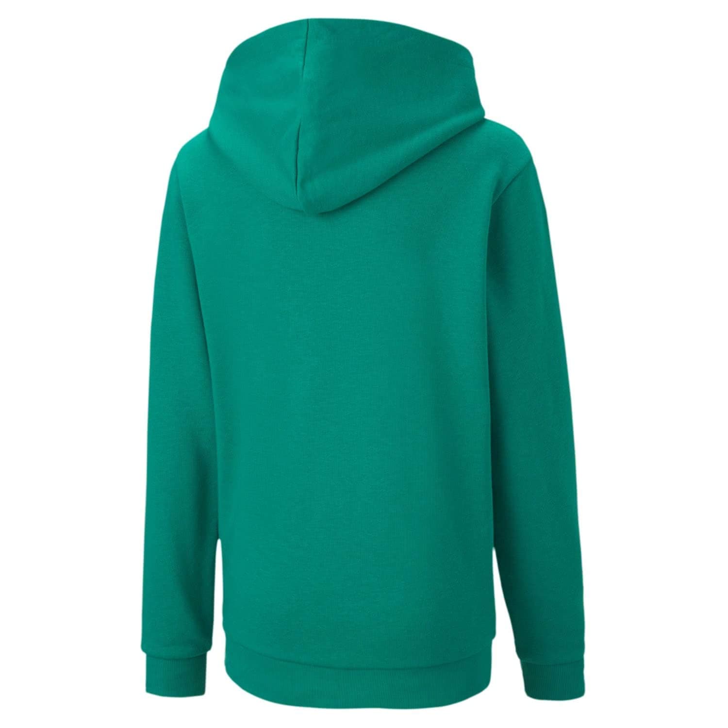 PUMA Teamgoal 23 Casuals Hoody Jr Sudadera Unisex niños