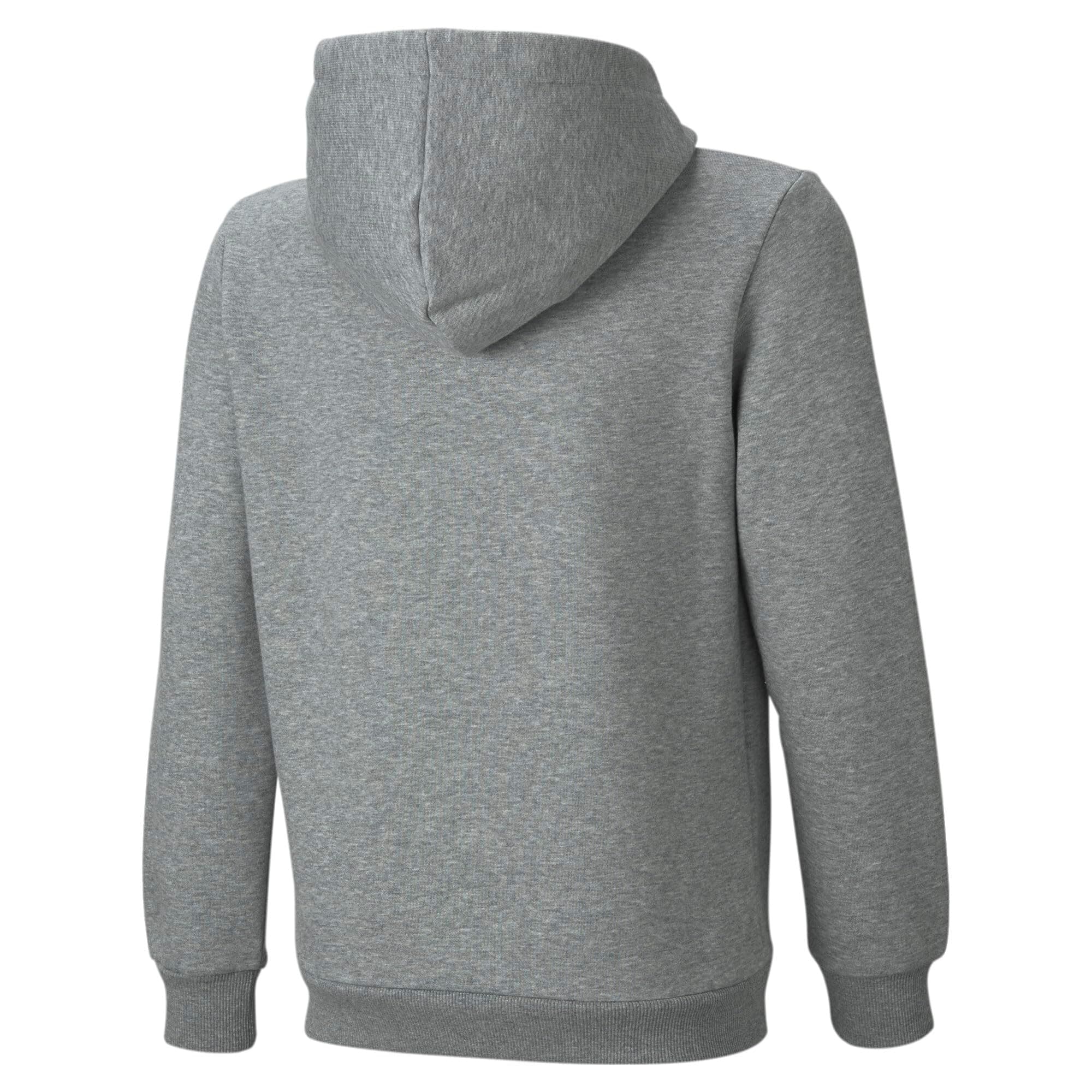 Puma Boy's ESS Big Logo Hoodie FL B Sweat