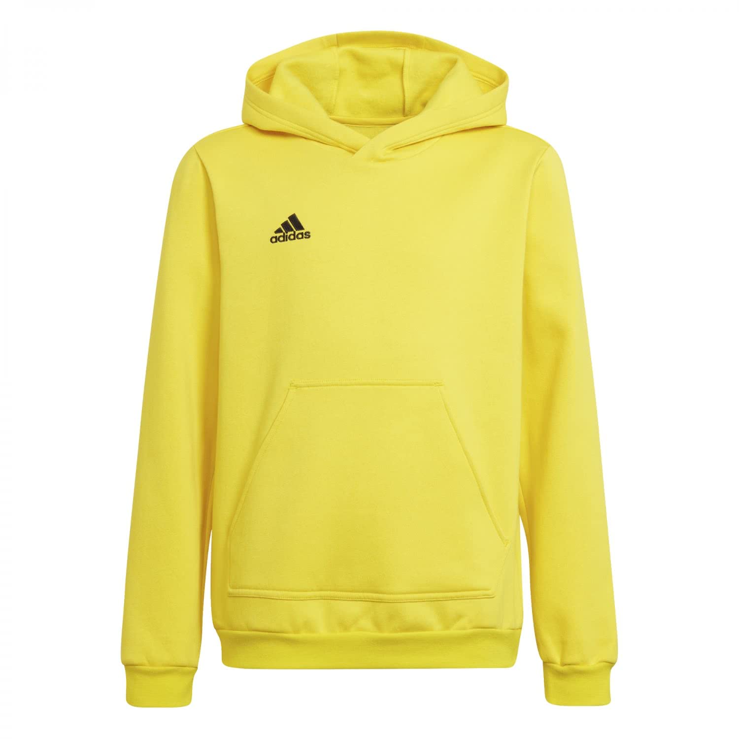 adidas Entrada 22 Sweat Hoodie