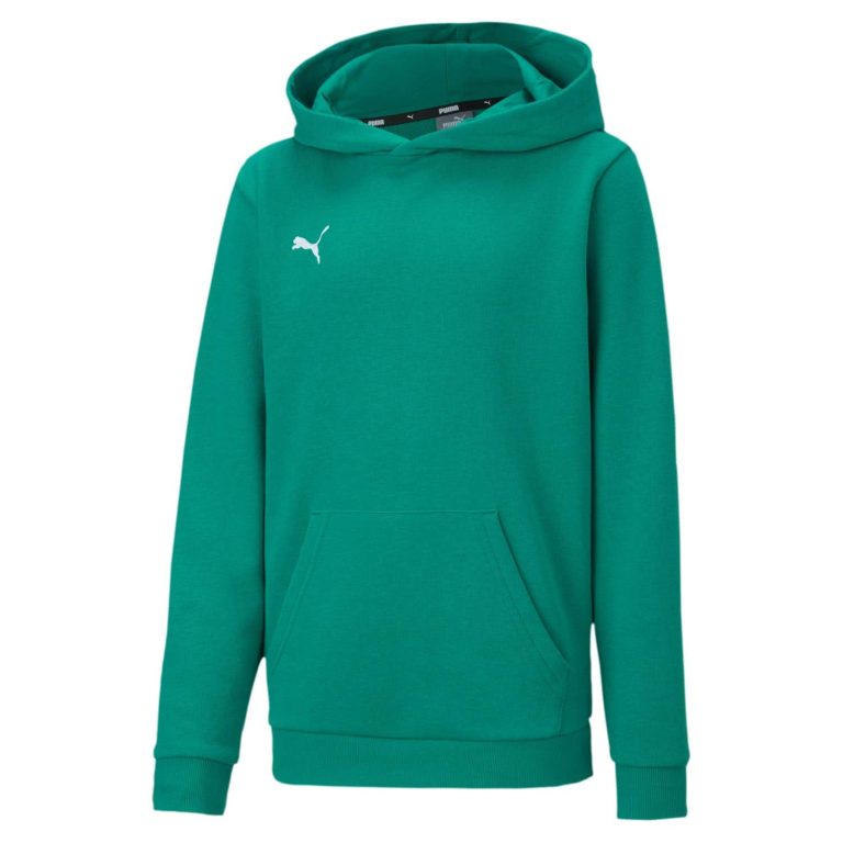 PUMA Teamgoal 23 Casuals Hoody Jr