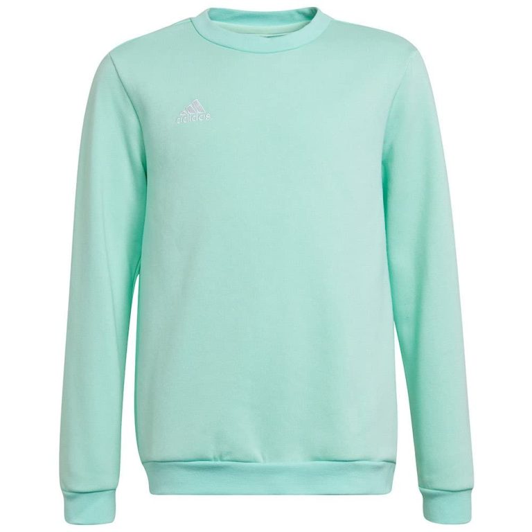 adidas Entrada 22 Sweatshirt Sudadera Unisex niños (Pack de 1)