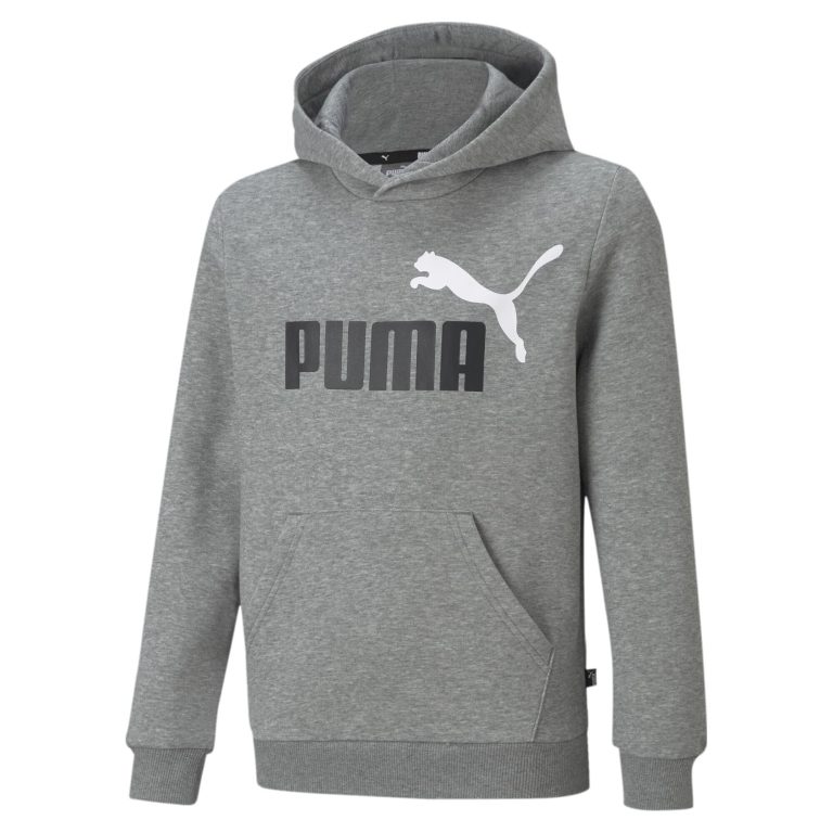 PUMA ESS Block-Sudadera con Capucha FL B Sudor para Niños
