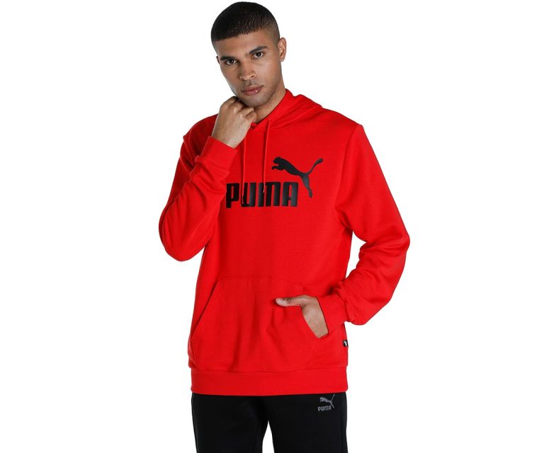 PUMA ESS Big Logo Hoodie TR Sudadera Hombre