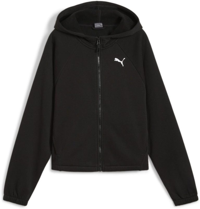 PUMA Motion FZ Hoodie FL