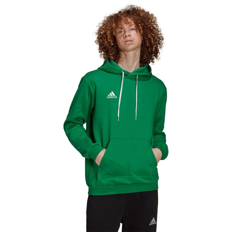 adidas Entrada 22 Sweat Hoodie, Sudadera con Capucha Hombre