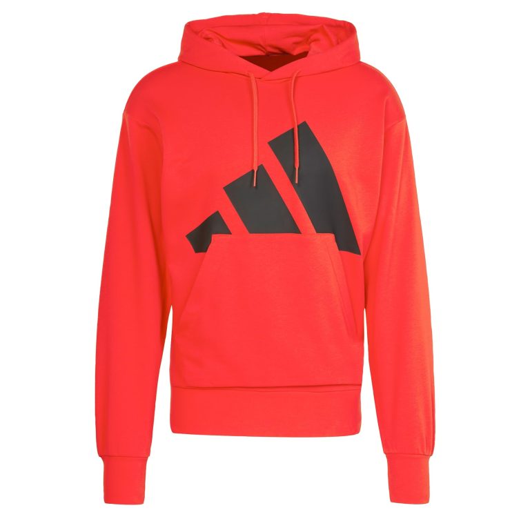 adidas Essentials Big Logo French Terry Hoodie Sudadera con Capucha Hombre